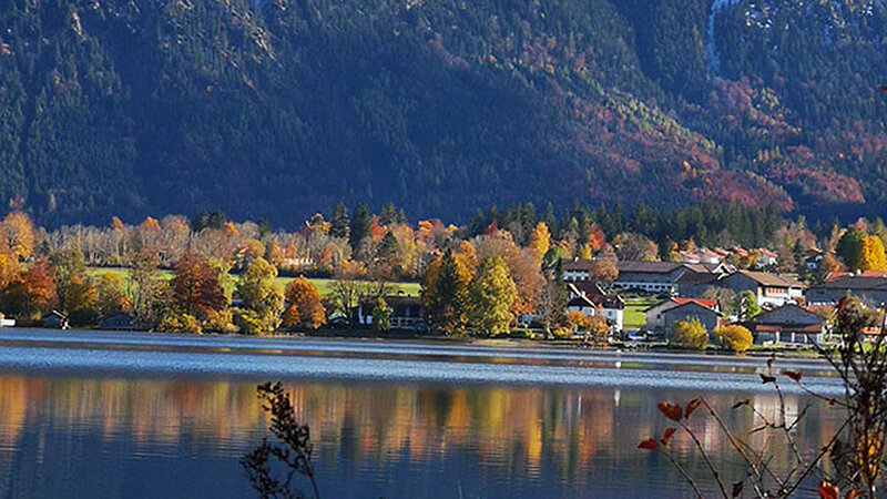 Ein ruhiger See vor den Bergen. Zwischen See und Berg liegen eine Handvoll Häuser. Bunt belaubte Bäume wachsen ebenfalls am Rand des Sees. Im Vordergrund ist Gestrüpp zu sehen, welches den Blick auf einen Teil des Sees beeinträchtigt.