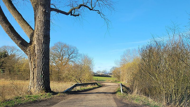 Norddeutsche Landstraße mit Baum am Wegesrand