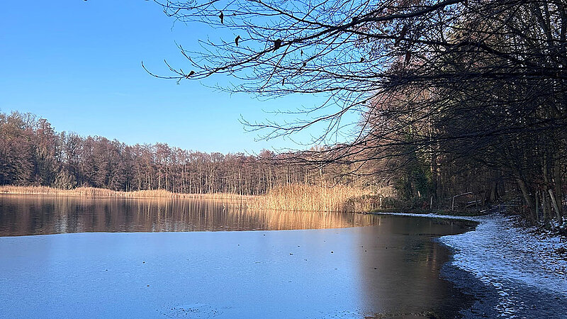 Vereister See im Berliner Grunewald
