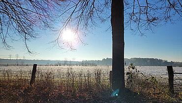 Blick auf ein Feld in der norddeutschen Landschaft