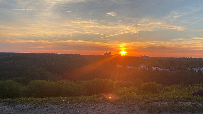 Sonnenuntergang am Teufelsberg in Berlin. 