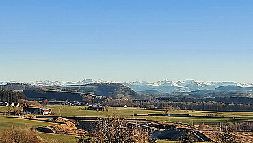 Eine Landschaft, auf der man vorne Wiese und im Hintergrund die Berge sieht. Die Region Unterallgäu/Memmingen.