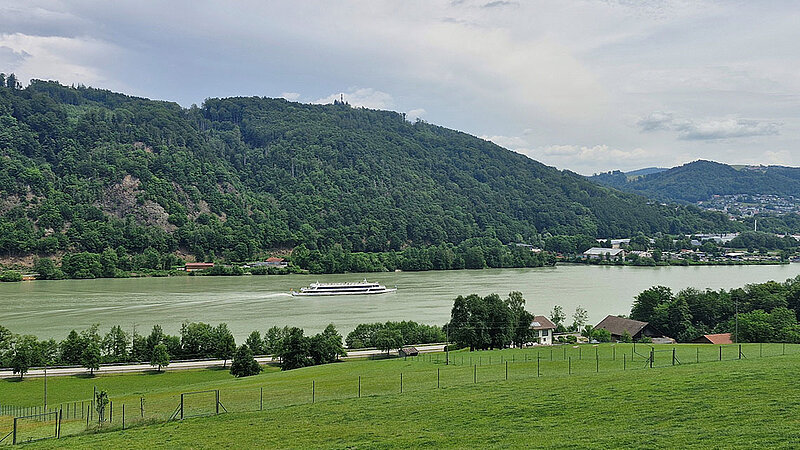 Blick auf die Donau bei Passau mit Ausflugsschiff, grünen Hängen und Wiesen im Vordergrund.