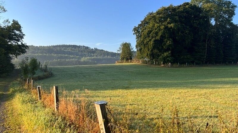 Im Vordergrund ist eine grüne Wiesenfläche mit einem Zaun in der Abendsonne, im Hintergrund erstreckt sich eine hügelige Landschaft.  