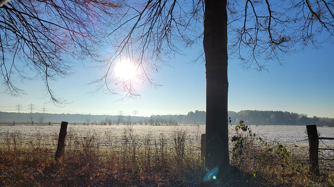 Blick auf ein Feld in der norddeutschen Landschaft