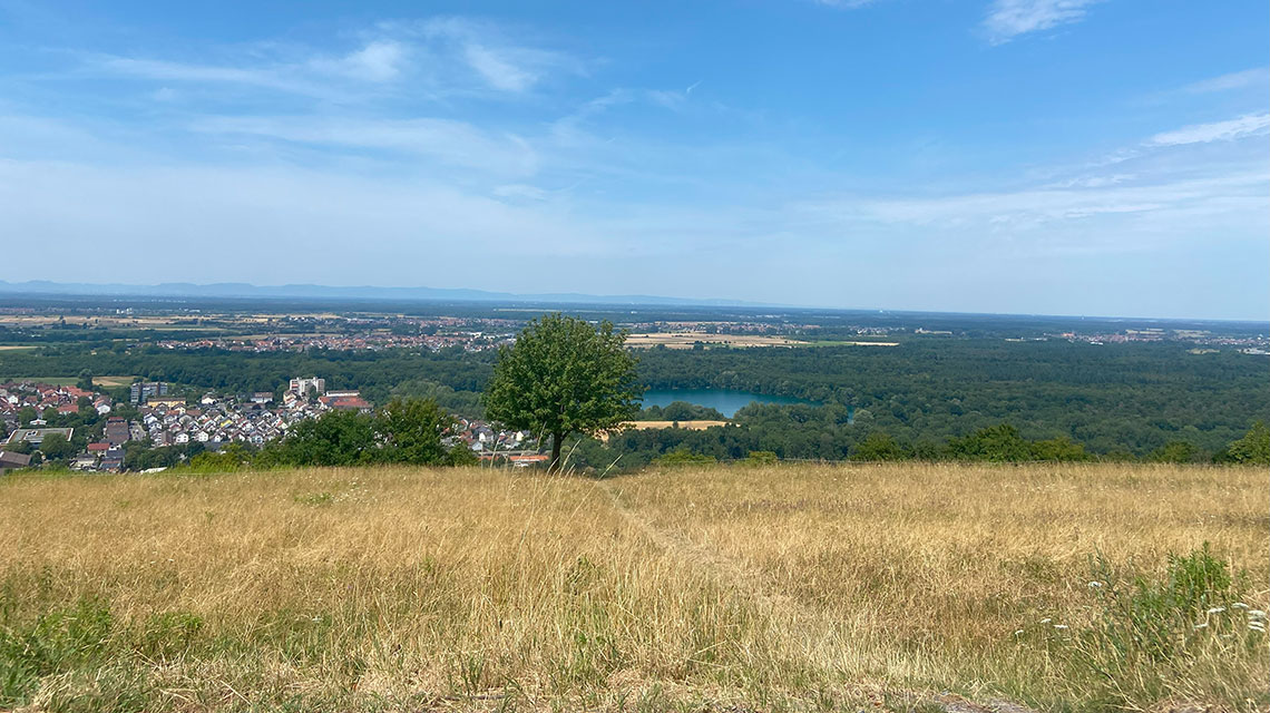 Das Bild zeigt eine Landschaftsaufnahme.