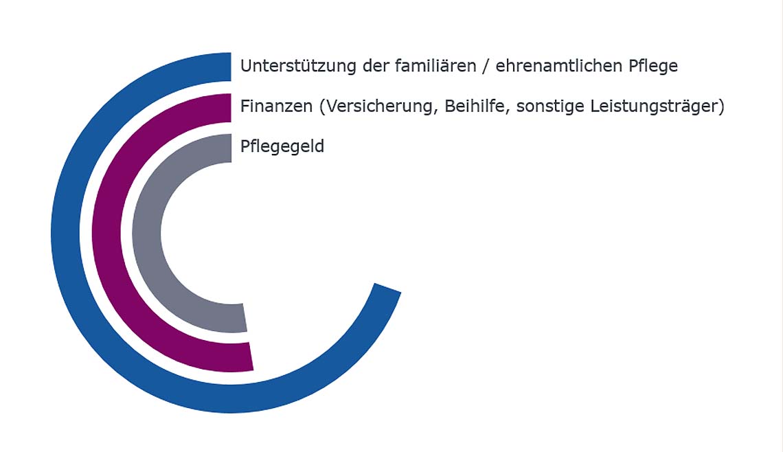 Grafik der häufigsten Beratungsthemen